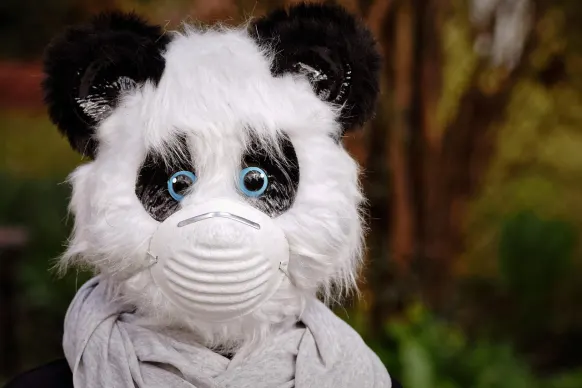 Oppa88888888 Casino Support